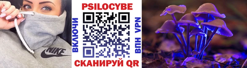 площадка клад  Николаевск-на-Амуре  Псилоцибиновые грибы мицелий  где продают  